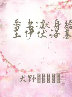 番名:献身给魔王伊伏洛基吧
