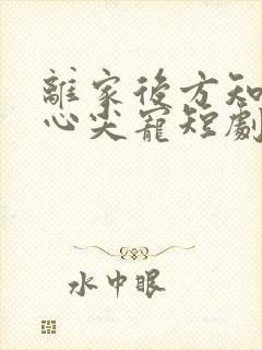 离家后方知我是心尖宠短剧合集