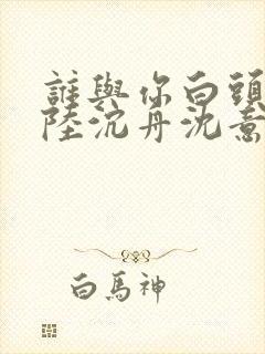 谁与你白头成眷陆沉舟沈意欢