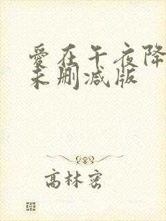 爱在午夜降临前未删减版