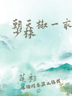 朝天椒一亩种多少株