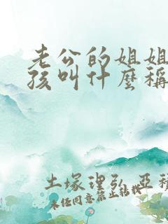 老公的姐姐的小孩叫什么称呼