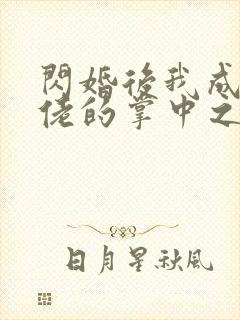 闪婚后我成绩大佬的掌中之物