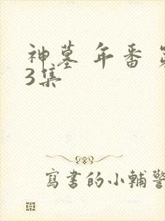神墓 年番 第3集