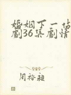 婚姻下一站电视剧36集剧情免费观看