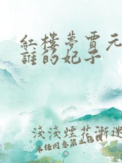 红楼梦贾元春是谁的妃子