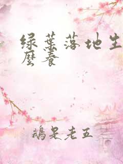绿叶落地生根怎么养