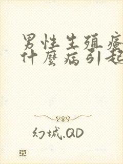 男性生殖瘙痒是什么病引起的
