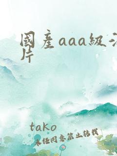 国产aaa级淫片