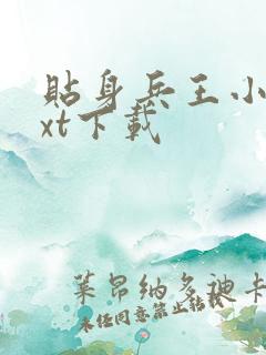 贴身兵王小说txt下载