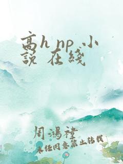 高h np 小说 在线