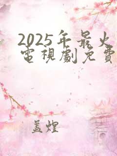 2025年最火电视剧免费观看