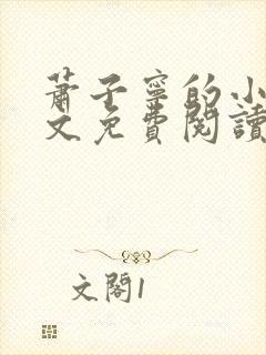 萧子宁的小说全文免费阅读无弹窗