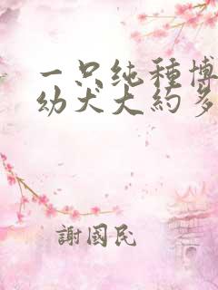一只纯种博美狗幼犬大约多少钱