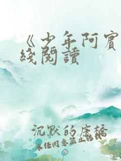 《少年阿宾》在线阅读