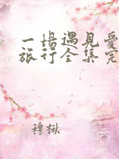 一场遇见爱情的旅行全集完整版