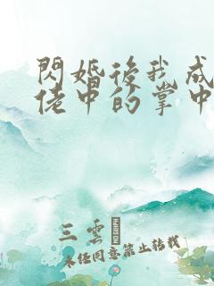 闪婚后我成了大佬中的掌中之物