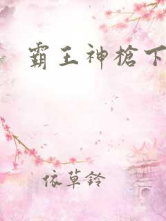 霸王神枪下载