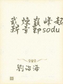 武炼巅峰起点最新章节sodu