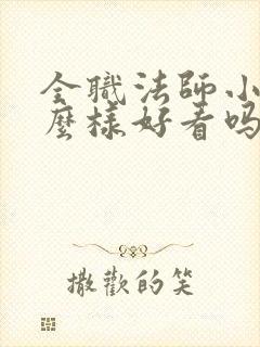 全职法师小说怎么样好看吗