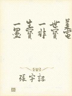 一生一世美人骨墨宝非宝电子书下载