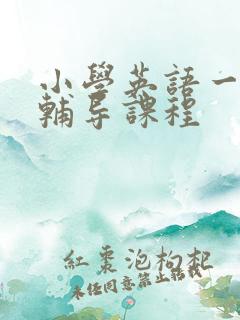 小学英语一对一辅导课程