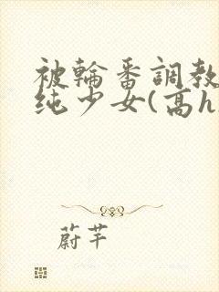 被轮番调教的清纯少女(高h)