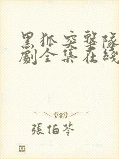 黑狐突击队电视剧全集在线观看