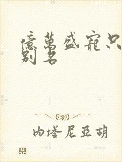 亿万盛宠只为你别名