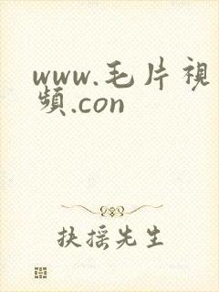 www.毛片视频.con