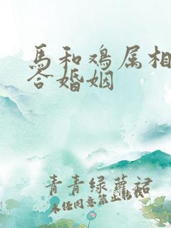 马和鸡属相合不合婚姻