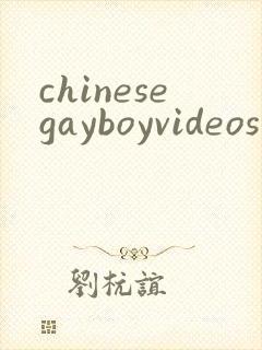 chinesegayboyvideos