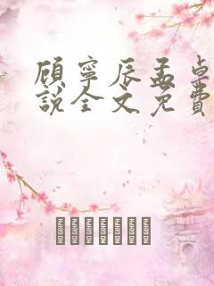 顾宁辰孟卓钰小说全文免费阅读