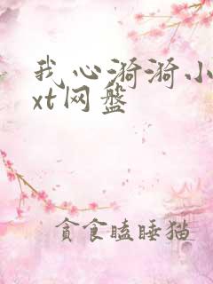 我心漪漪小说txt网盘