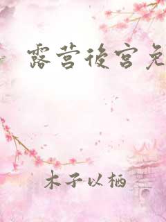 露营后宫免费看