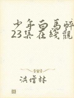 少年白马醉春风23集在线观看