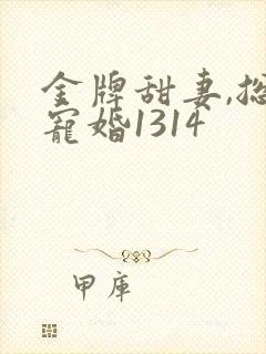 金牌甜妻,总裁宠婚1314