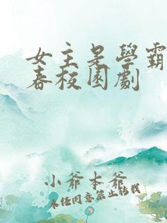 女主是学霸的青春校园剧