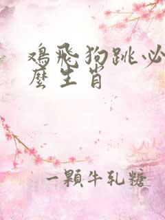 鸡飞狗跳必开什么生肖