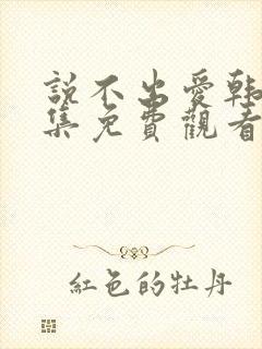 说不出爱韩剧全集免费观看