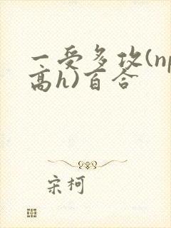 一受多攻(np高h)百合