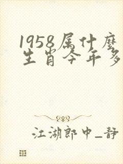 1958属什么生肖今年多大了