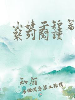 小婕子短篇小说系列阅读