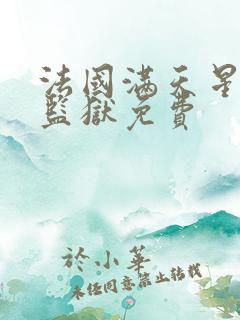 法国满天星高压监狱免费