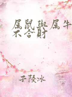 属鼠与属牛的合不合财