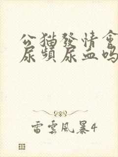 公猫发情会出现尿频尿血吗