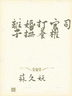 离婚打官司要孩子抚养权
