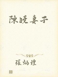 陈晓妻子