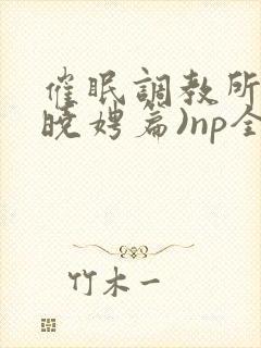 催眠调教所(李晓娉篇)np全肉