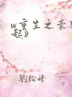 w重生之豪门崛起》